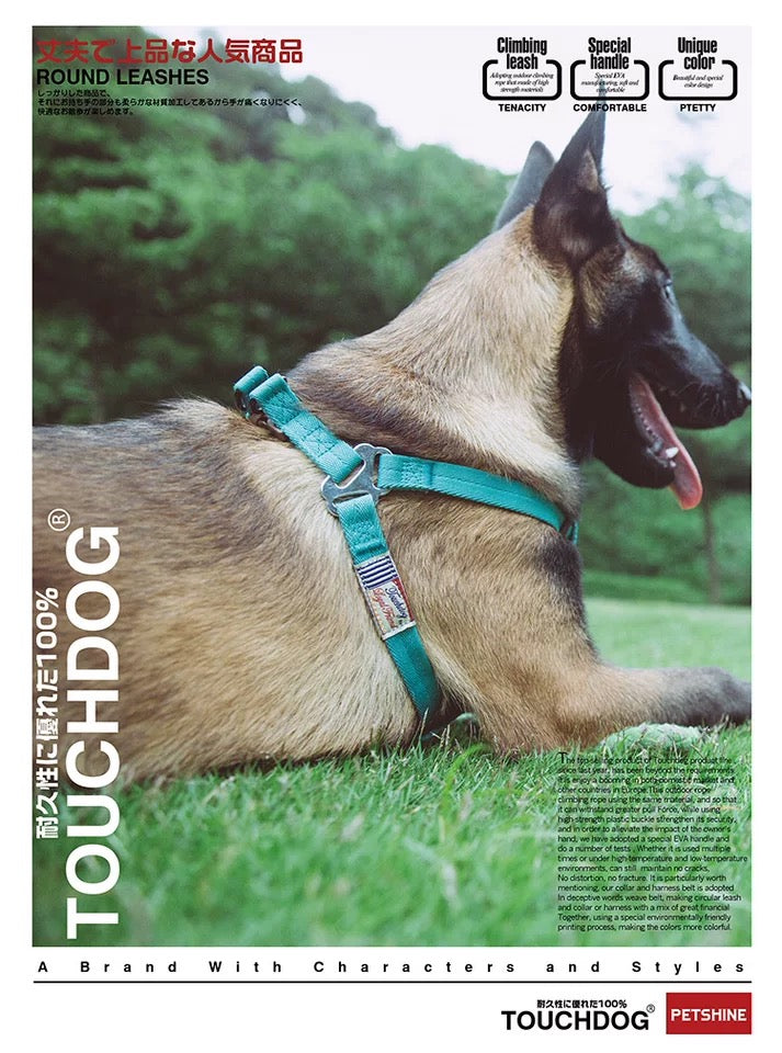 Touchdog Dog Harness & Leash Set