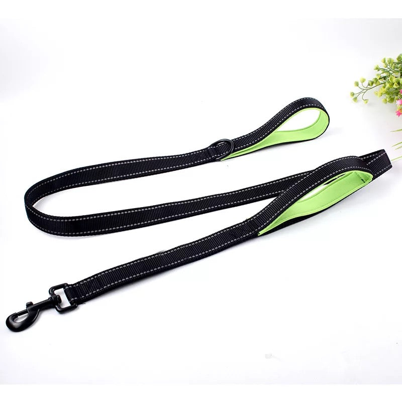 Thick hotsell dog leash